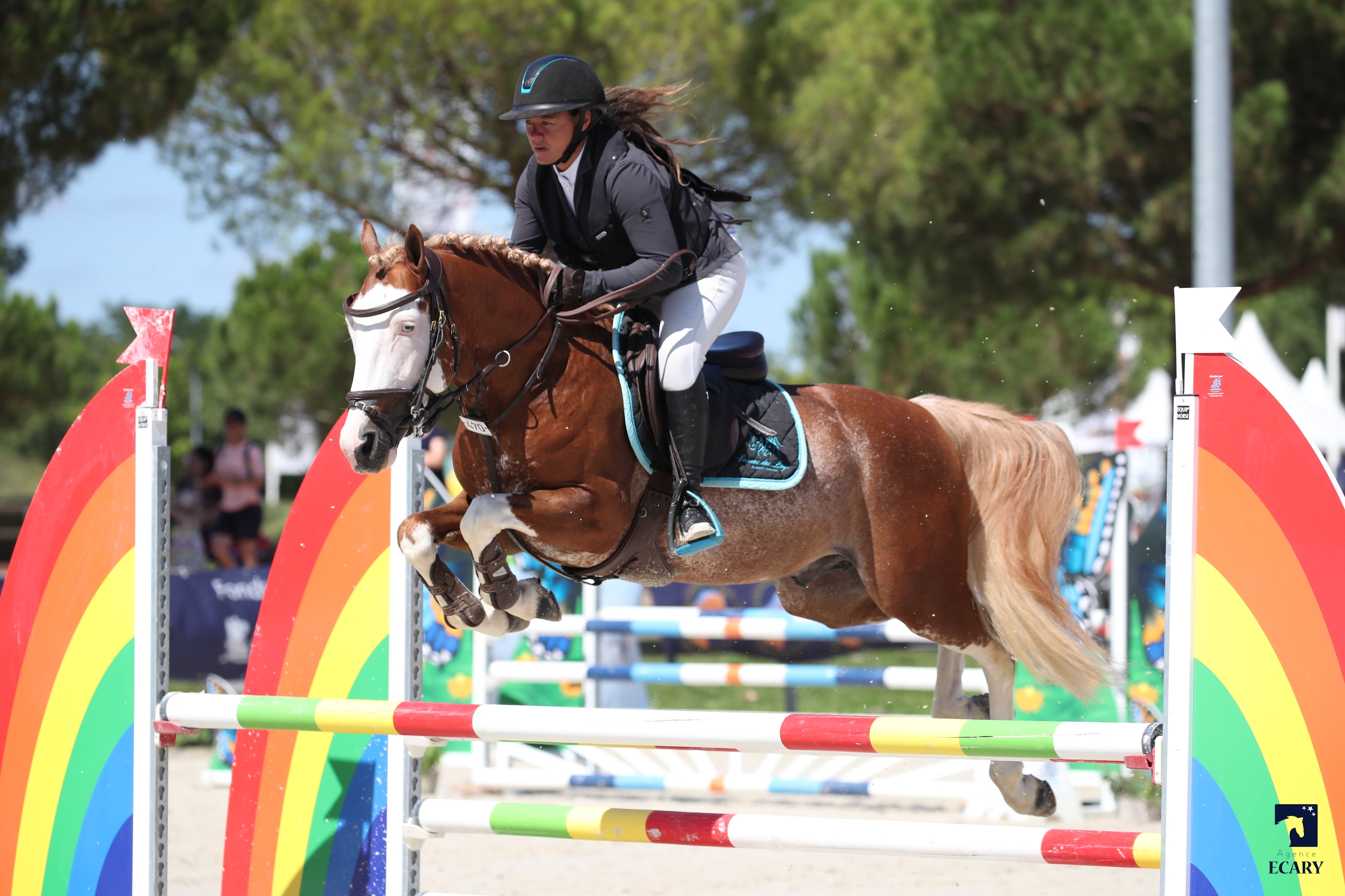 Duo de poneys pour deux soeurs - Le Tricomonde de Sophie