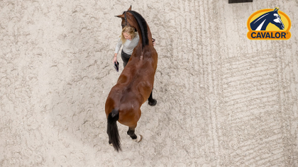 3 étapes pour améliorer l'état corporel de votre cheval