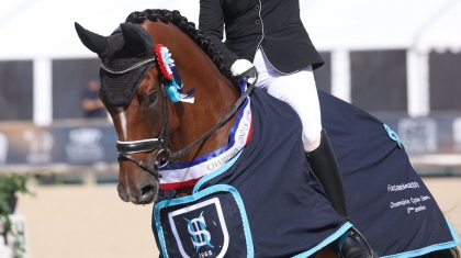 Grande Semaine de Dressage 2024 : Illegal JV, une victoire très nette en CL3