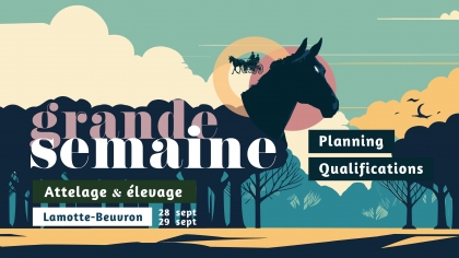 Grande Semaine d'Attelage 2024 : Qualifications et Planning