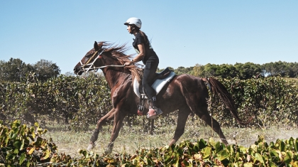 La Vitesse Régulée expliquée