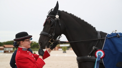 Attelage 2024 : Doublé pour IDROMEL NOIR*IFCE avec la victoire en Qualification 2