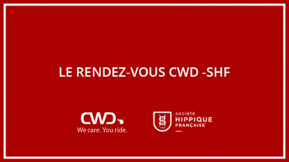 Lire l'actualité LE RDV CWD - Bridon classique, anatomique ou ergonomique : lequel choisir ?