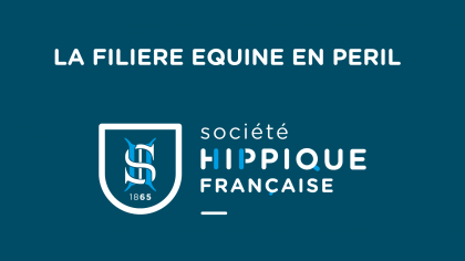 Lire l'actualité Communiqué SHF : la filière équine en péril