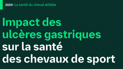 Savoir détecter les ulcères gastriques chez les chevaux de sport