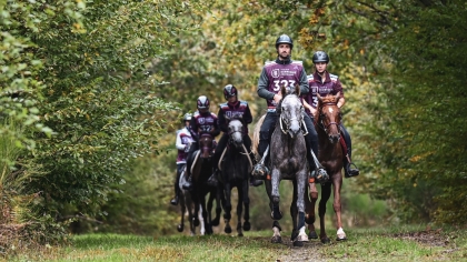 Appel à candidatures Cavaliers Référents Endurance