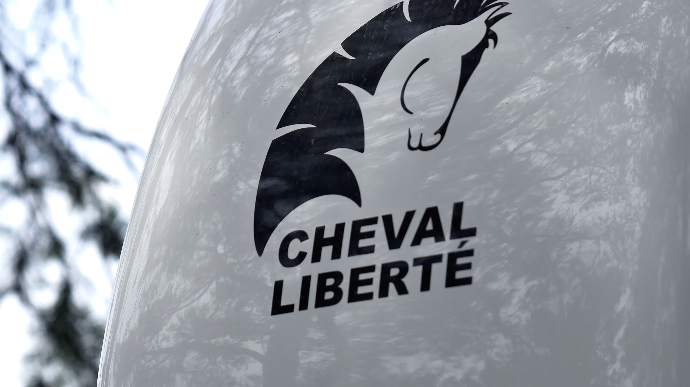 van cheval liberté occasion