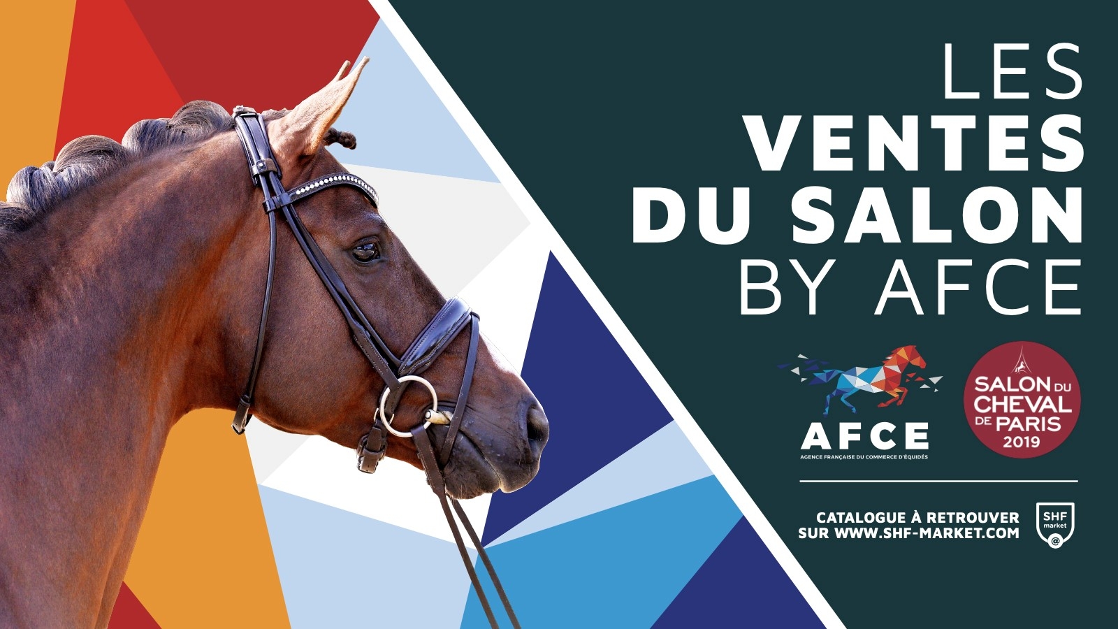 Afce Ventes Du Salon Du Cheval De Paris Actualites Shf