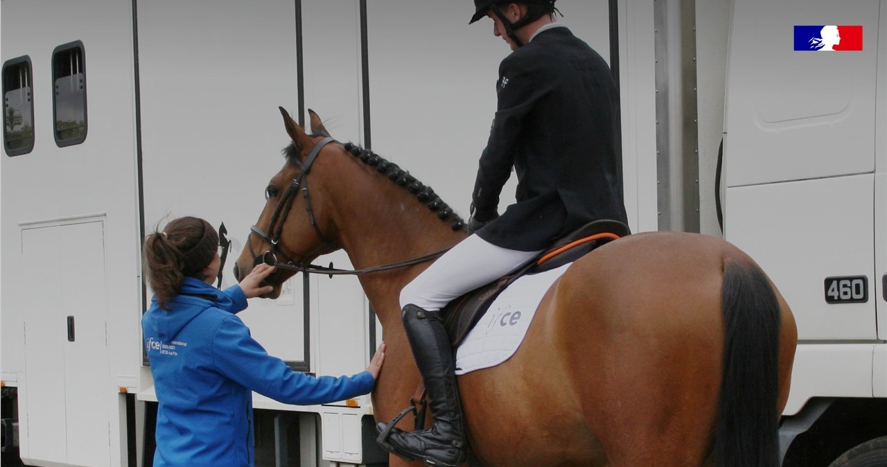 Une formation pour devenir groom professionnel - Cheval Magazine