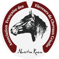 Logo Association Française des Eleveurs de Chevaux Criollo