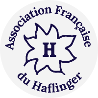 Logo Association Française du Haflinger