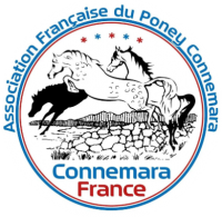 Logo Association Française du Poney Connemara